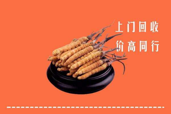 高价求购：资阳安岳回收散虫草