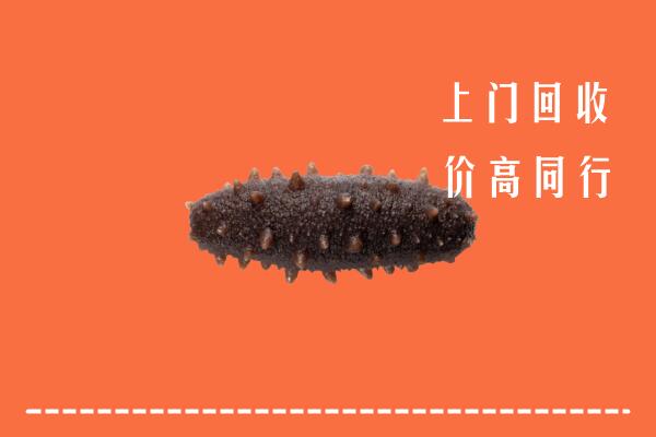 高价求购：资阳安岳回收海参