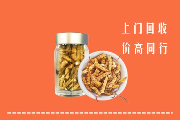 资阳安岳回收冬虫夏草